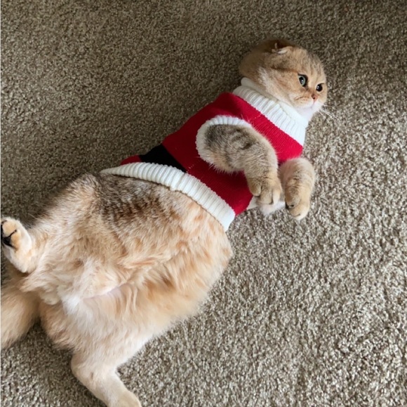 mangina